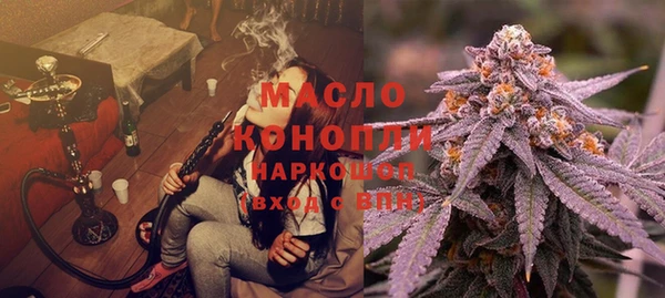 spice Ельня